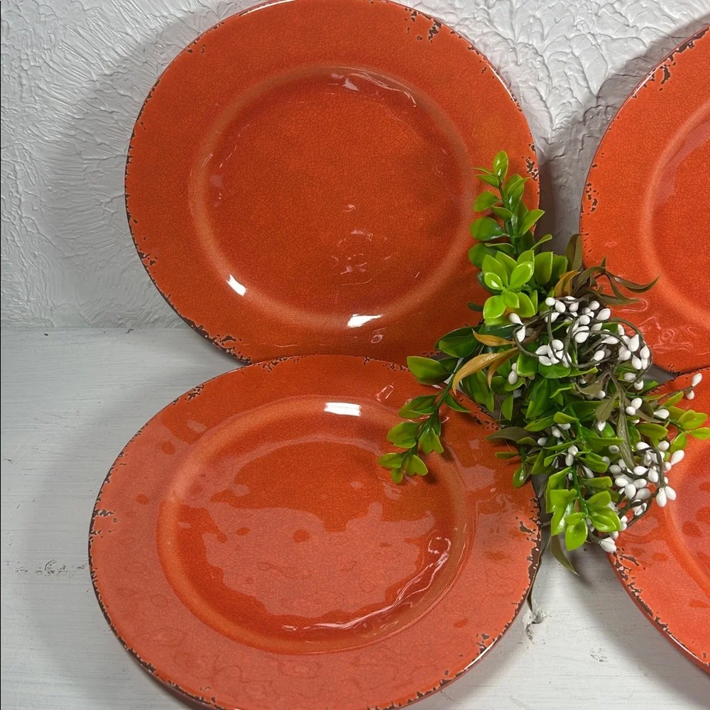 Gianna’s Home Plates Melamine Rustic Orange Plate Set Farmhouse Orange Plates